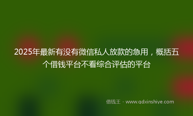 2025年最新有没有微信私人放款的急用，概括五个借钱平台不看综合评估的平台