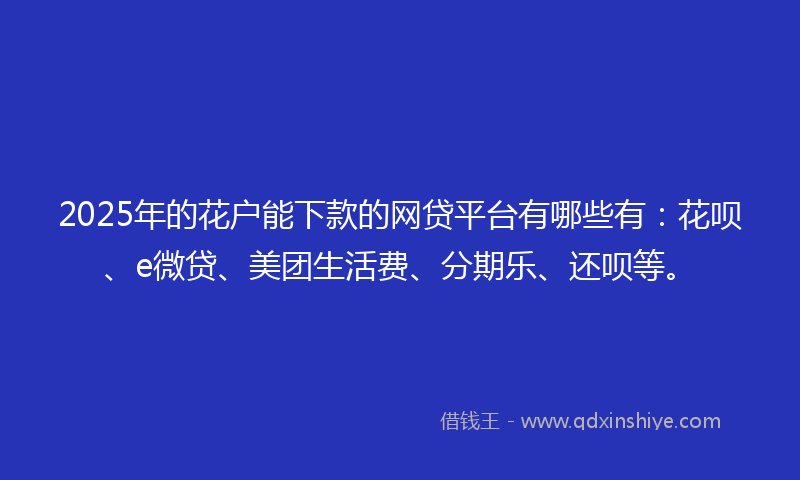 2025年的花户能下款的网贷平台有哪些有：花呗、e微贷、美团生活费、分期乐、还呗等。