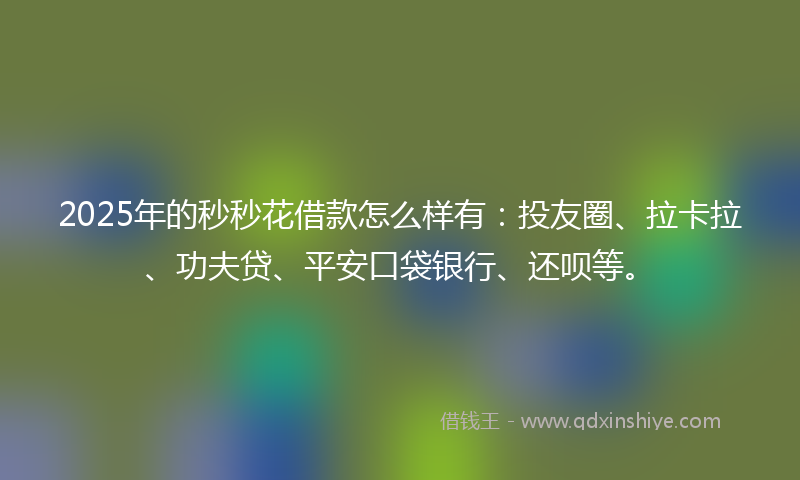 2025年的秒秒花借款怎么样有：投友圈、拉卡拉、功夫贷、平安口袋银行、还呗等。