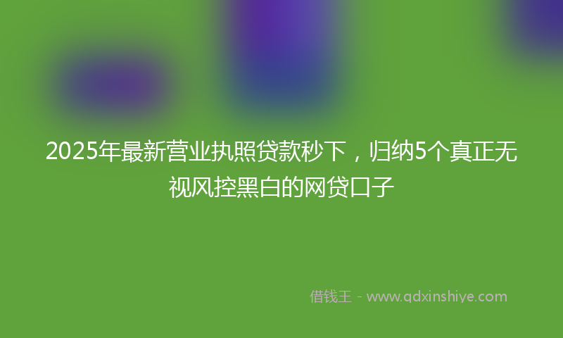 2025年最新营业执照贷款秒下，归纳5个真正无视风控黑白的网贷口子