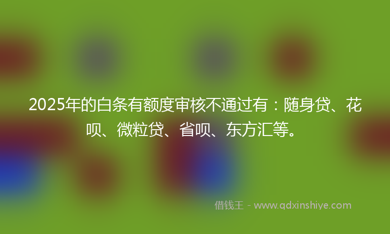 2025年的白条有额度审核不通过有：随身贷、花呗、微粒贷、省呗、东方汇等。