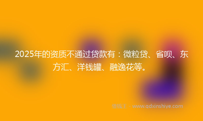 2025年的资质不通过贷款有：微粒贷、省呗、东方汇、洋钱罐、融逸花等。