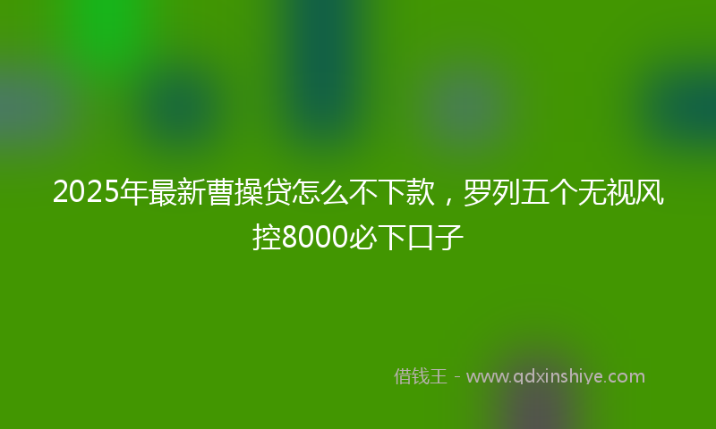 2025年最新曹操贷怎么不下款，罗列五个无视风控8000必下口子