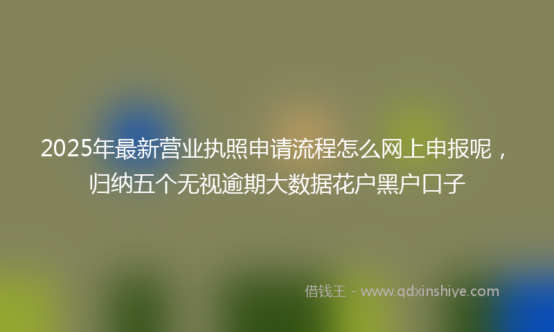 2025年最新营业执照申请流程怎么网上申报呢，归纳五个无视逾期大数据花户黑户口子