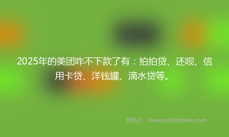 2025年的美团咋不下款了有：拍拍贷、还呗、信用卡贷、洋钱罐、滴水贷等。