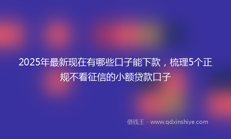 2025年最新现在有哪些口子能下款，梳理5个正规不看征信的小额贷款口子
