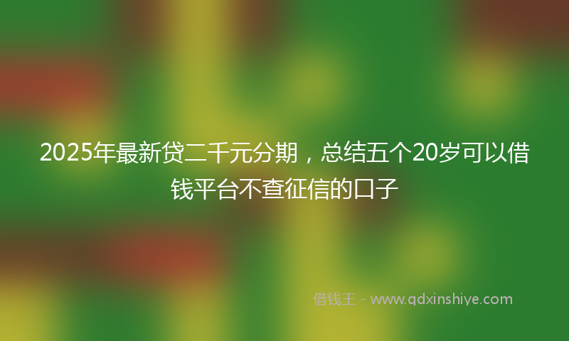 2025年最新贷二千元分期，总结五个20岁可以借钱平台不查征信的口子