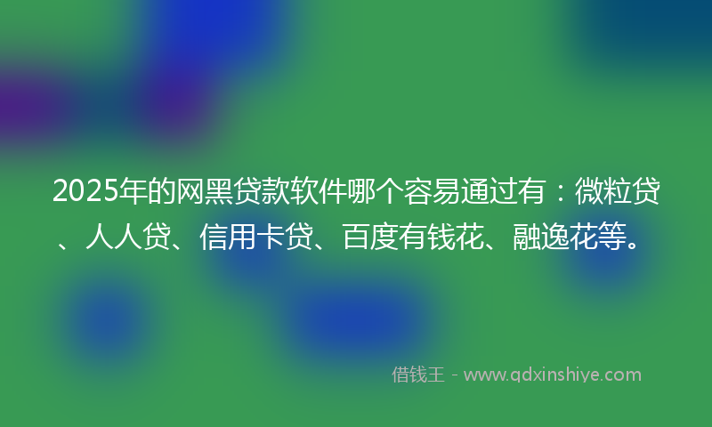 2025年的网黑贷款软件哪个容易通过有：微粒贷、人人贷、信用卡贷、百度有钱花、融逸花等。