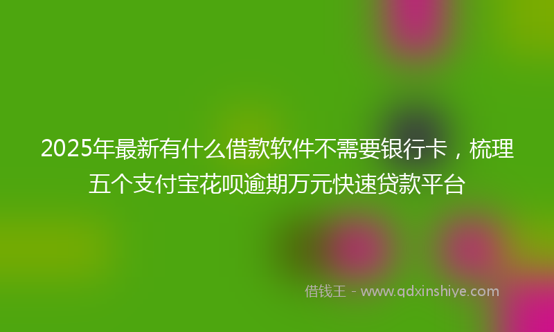 2025年最新有什么借款软件不需要银行卡，梳理五个支付宝花呗逾期万元快速贷款平台