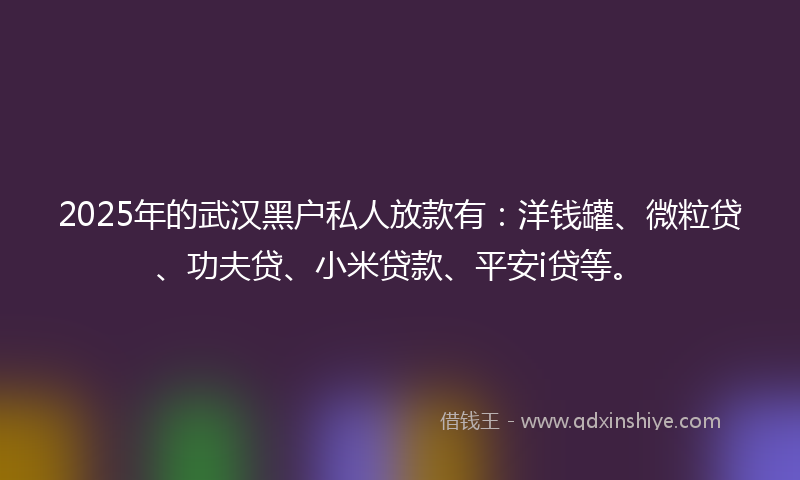 2025年的武汉黑户私人放款有：洋钱罐、微粒贷、功夫贷、小米贷款、平安i贷等。
