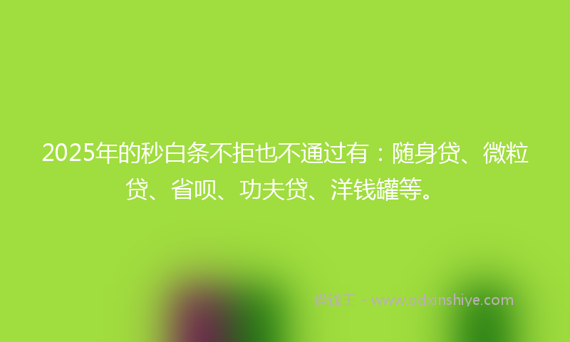 2025年的秒白条不拒也不通过有：随身贷、微粒贷、省呗、功夫贷、洋钱罐等。