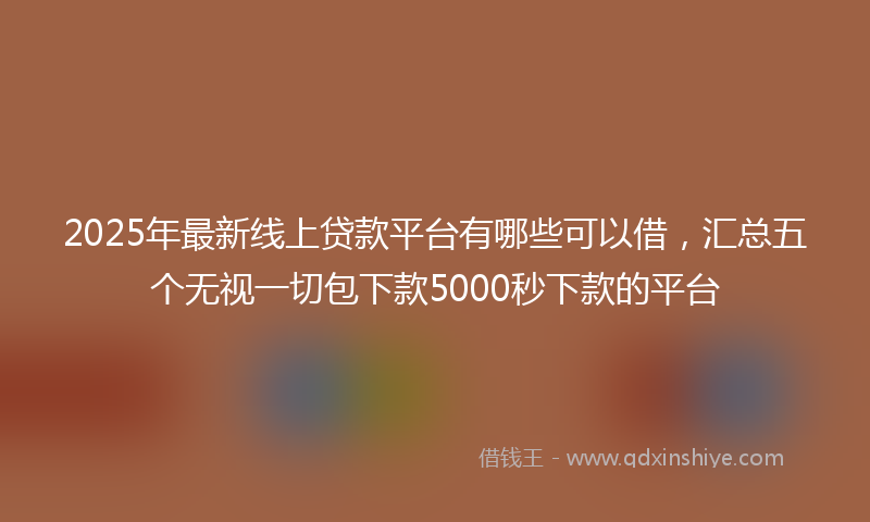 2025年最新线上贷款平台有哪些可以借，汇总五个无视一切包下款5000秒下款的平台