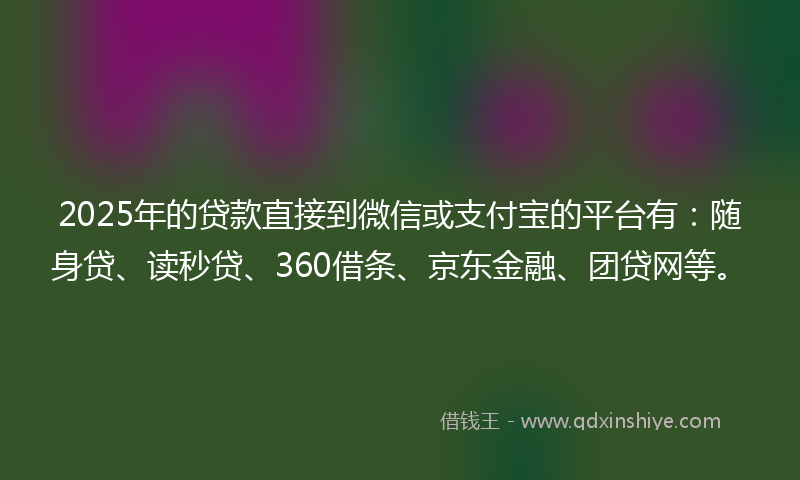 2025年的贷款直接到微信或支付宝的平台有：随身贷、读秒贷、360借条、京东金融、团贷网等。