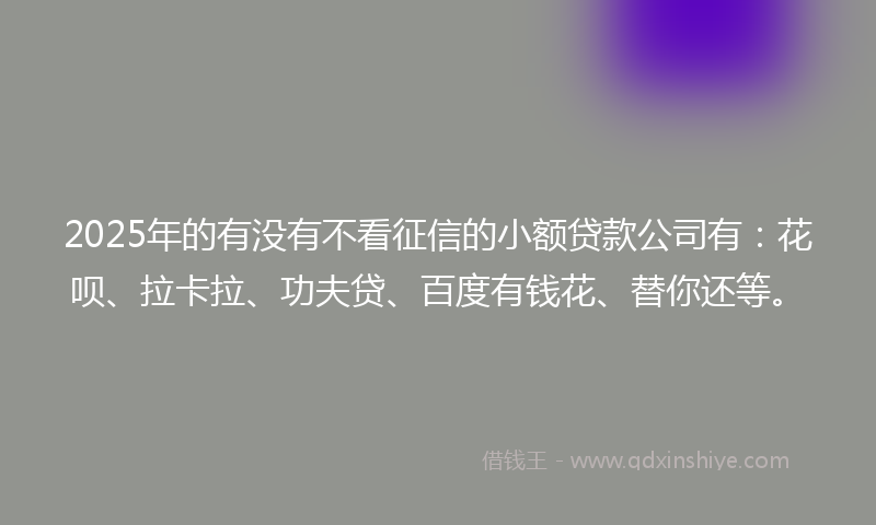 2025年的有没有不看征信的小额贷款公司有：花呗、拉卡拉、功夫贷、百度有钱花、替你还等。