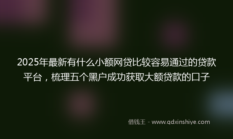 2025年最新有什么小额网贷比较容易通过的贷款平台，梳理五个黑户成功获取大额贷款的口子