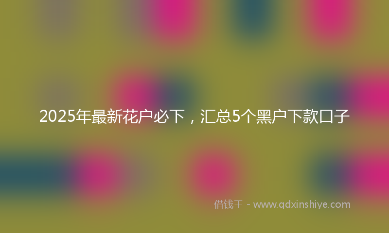 2025年最新花户必下，汇总5个黑户下款口子