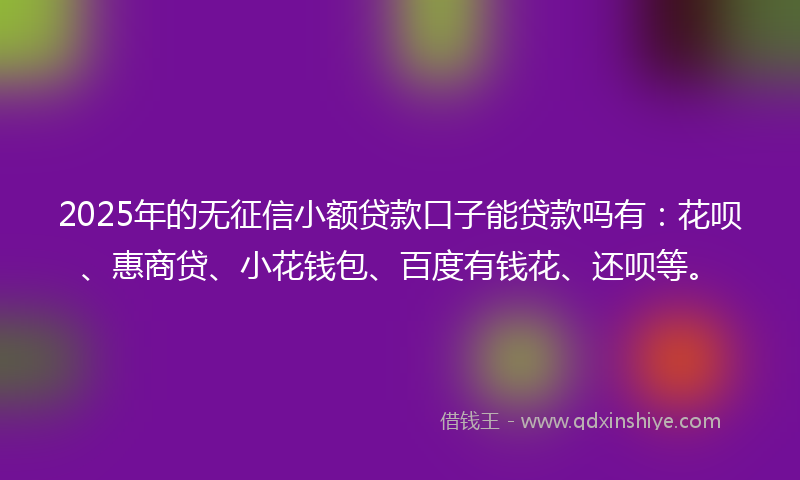 2025年的无征信小额贷款口子能贷款吗有：花呗、惠商贷、小花钱包、百度有钱花、还呗等。