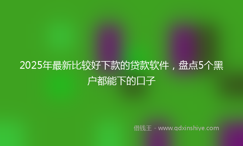 2025年最新比较好下款的贷款软件，盘点5个黑户都能下的口子