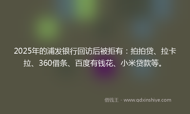 2025年的浦发银行回访后被拒有：拍拍贷、拉卡拉、360借条、百度有钱花、小米贷款等。