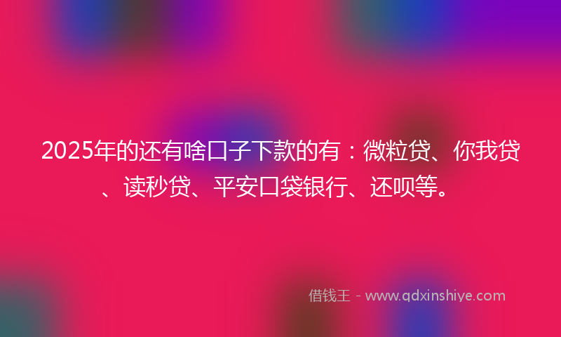 2025年的还有啥口子下款的有：微粒贷、你我贷、读秒贷、平安口袋银行、还呗等。