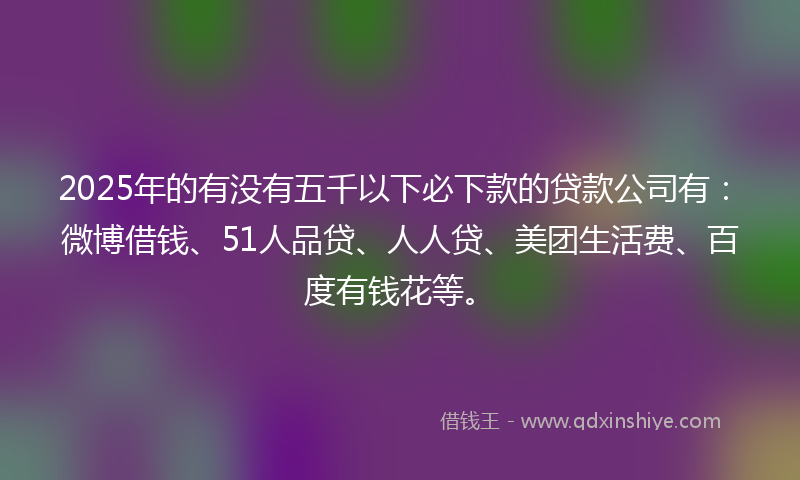 2025年的有没有五千以下必下款的贷款公司有：微博借钱、51人品贷、人人贷、美团生活费、百度有钱花等。