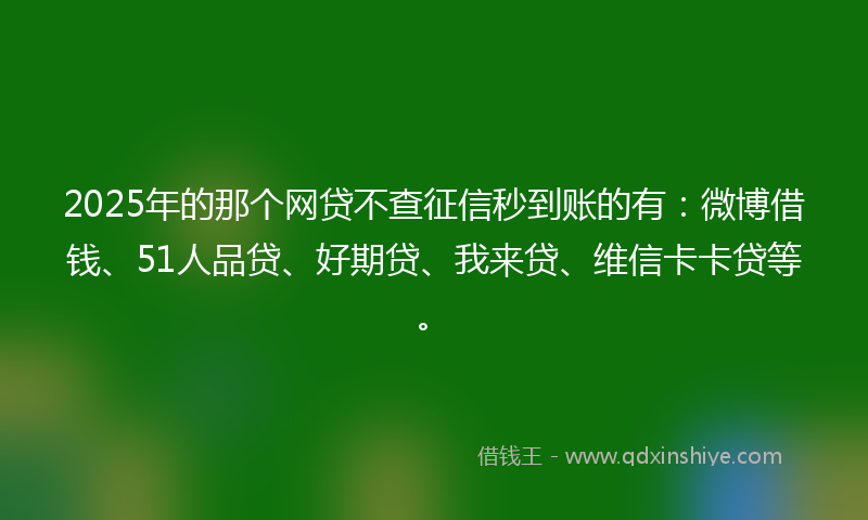 2025年的那个网贷不查征信秒到账的有：微博借钱、51人品贷、好期贷、我来贷、维信卡卡贷等。