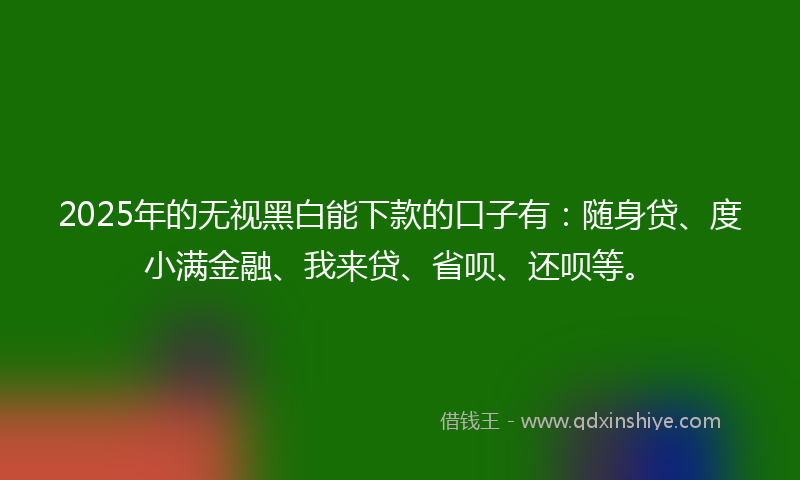 2025年的无视黑白能下款的口子有：随身贷、度小满金融、我来贷、省呗、还呗等。