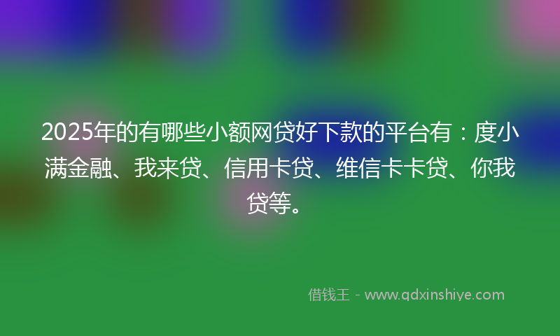 2025年的有哪些小额网贷好下款的平台有：度小满金融、我来贷、信用卡贷、维信卡卡贷、你我贷等。