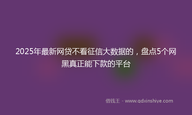 2025年最新网贷不看征信大数据的，盘点5个网黑真正能下款的平台