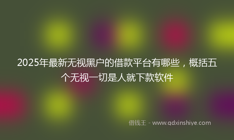 2025年最新无视黑户的借款平台有哪些，概括五个无视一切是人就下款软件