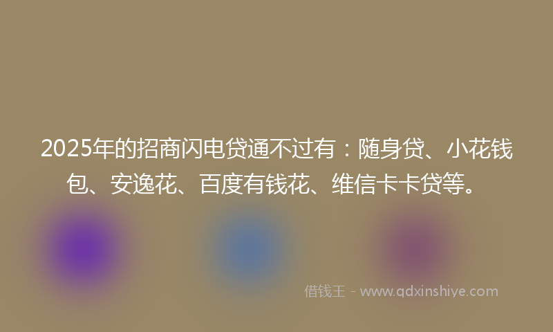 2025年的招商闪电贷通不过有：随身贷、小花钱包、安逸花、百度有钱花、维信卡卡贷等。