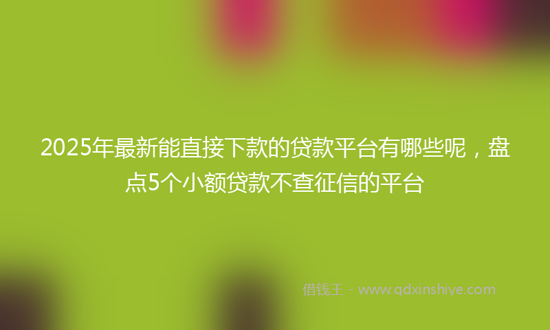 2025年最新能直接下款的贷款平台有哪些呢，盘点5个小额贷款不查征信的平台
