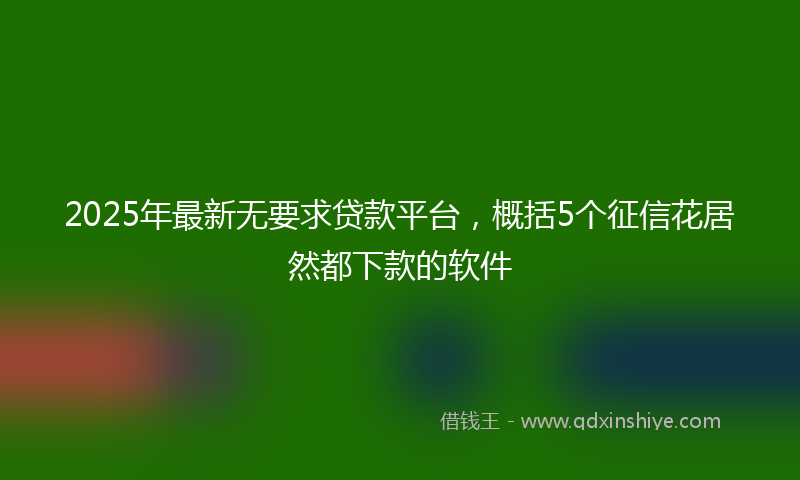 2025年最新无要求贷款平台，概括5个征信花居然都下款的软件