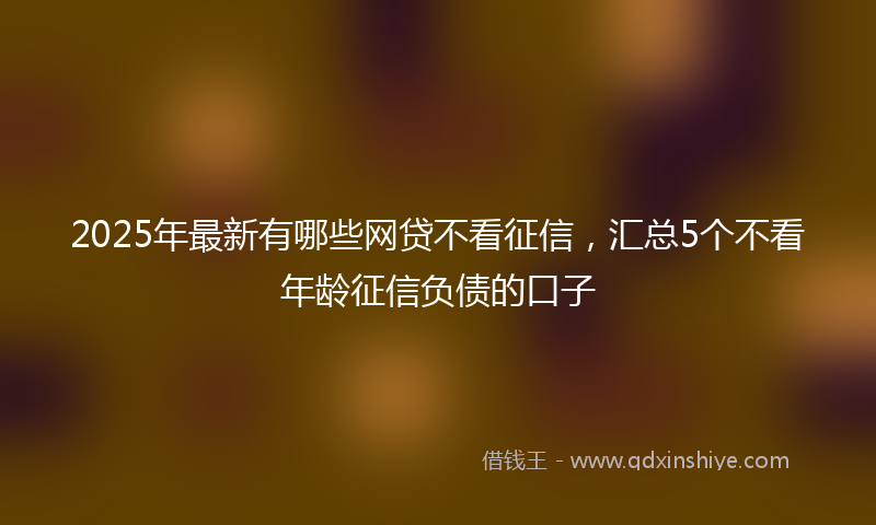 2025年最新有哪些网贷不看征信，汇总5个不看年龄征信负债的口子