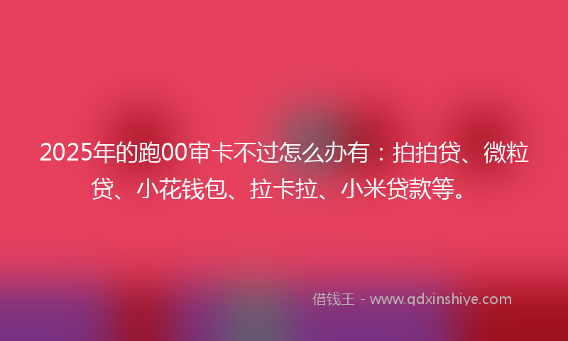 2025年的跑00审卡不过怎么办有：拍拍贷、微粒贷、小花钱包、拉卡拉、小米贷款等。