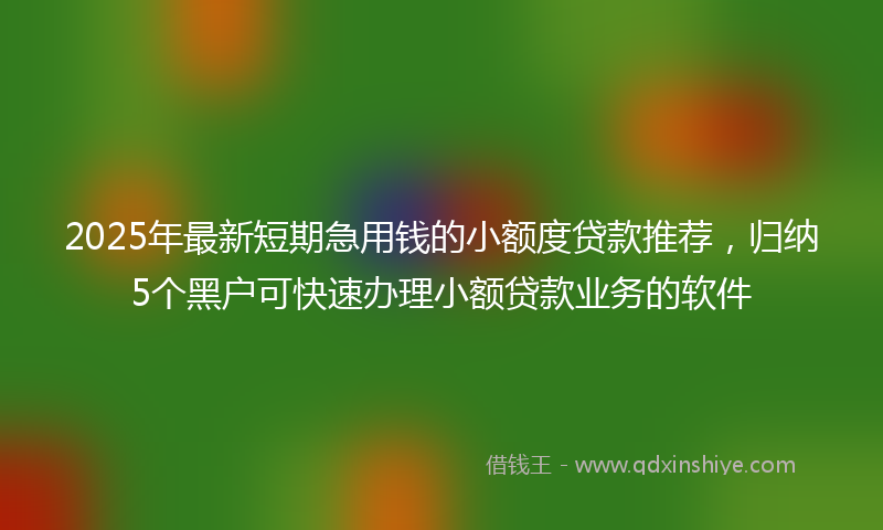 2025年最新短期急用钱的小额度贷款推荐，归纳5个黑户可快速办理小额贷款业务的软件