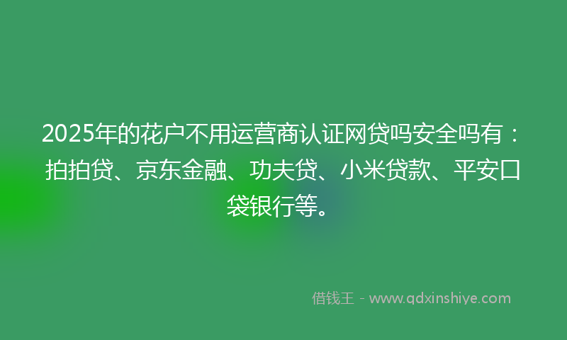 2025年的花户不用运营商认证网贷吗安全吗有：拍拍贷、京东金融、功夫贷、小米贷款、平安口袋银行等。