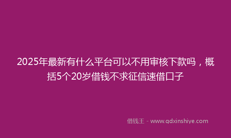 2025年最新有什么平台可以不用审核下款吗，概括5个20岁借钱不求征信速借口子