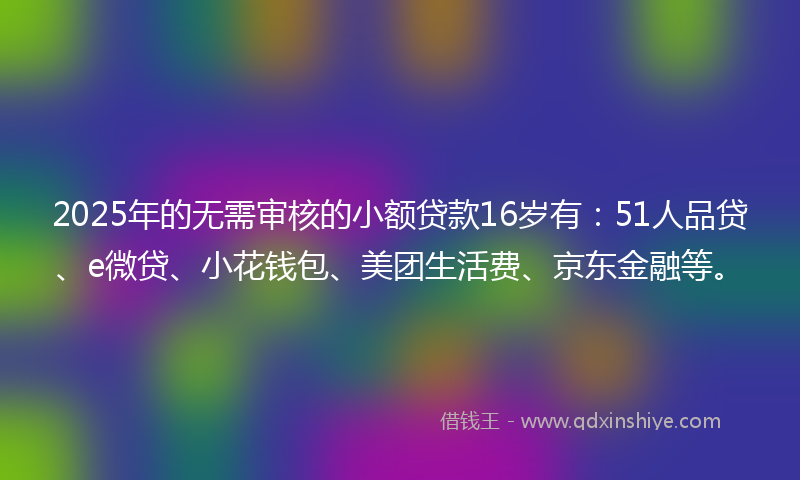 2025年的无需审核的小额贷款16岁有：51人品贷、e微贷、小花钱包、美团生活费、京东金融等。