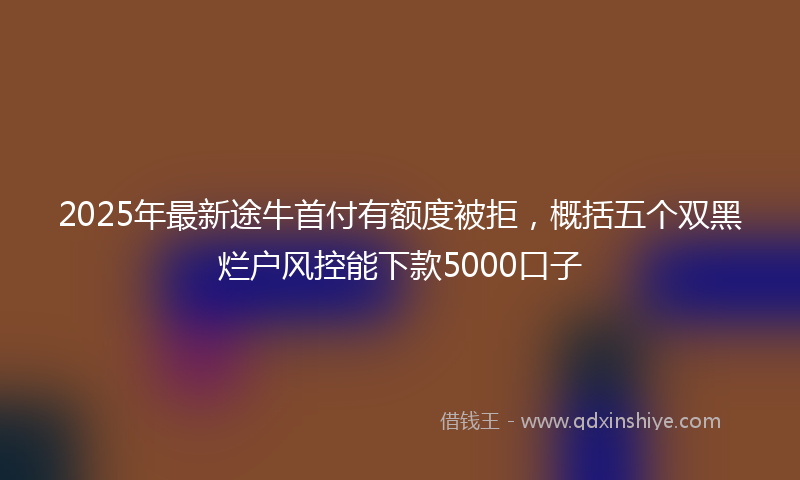 2025年最新途牛首付有额度被拒，概括五个双黑烂户风控能下款5000口子