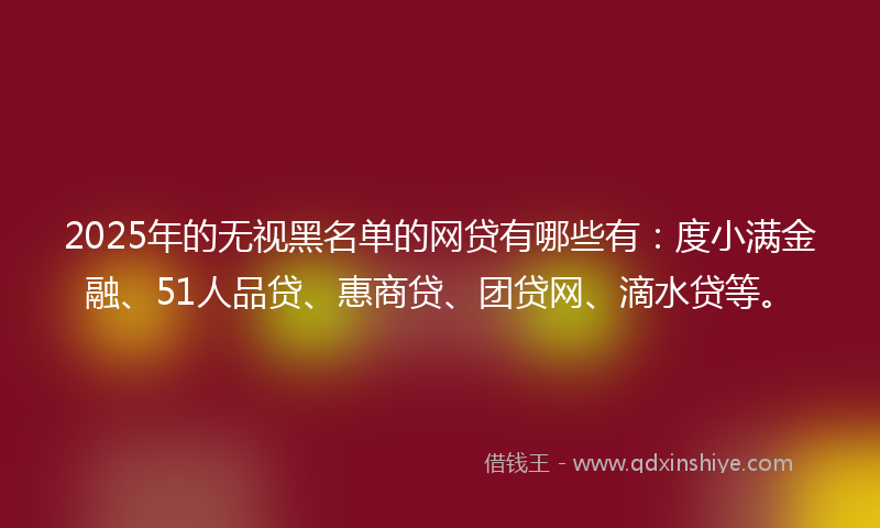 2025年的无视黑名单的网贷有哪些有：度小满金融、51人品贷、惠商贷、团贷网、滴水贷等。