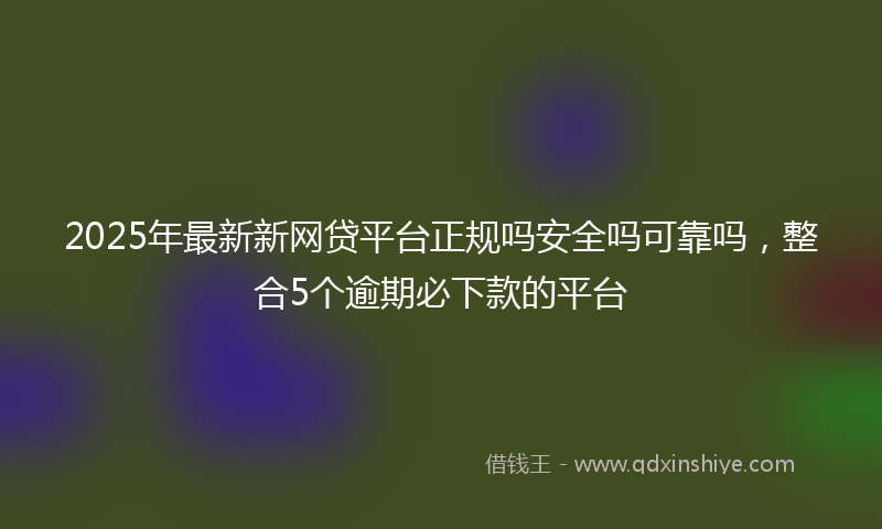 2025年最新新网贷平台正规吗安全吗可靠吗，整合5个逾期必下款的平台