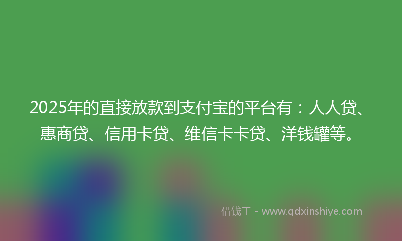 2025年的直接放款到支付宝的平台有：人人贷、惠商贷、信用卡贷、维信卡卡贷、洋钱罐等。