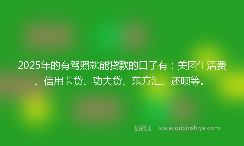 2025年的有驾照就能贷款的口子有：美团生活费、信用卡贷、功夫贷、东方汇、还呗等。