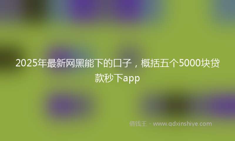 2025年最新网黑能下的口子，概括五个5000块贷款秒下app