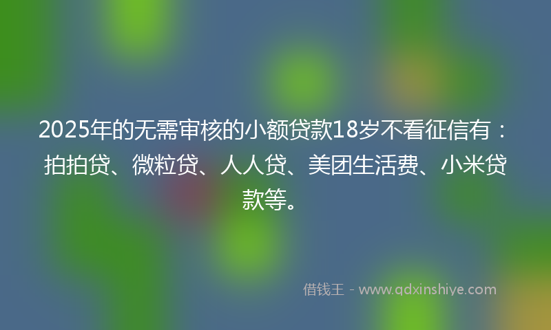 2025年的无需审核的小额贷款18岁不看征信有：拍拍贷、微粒贷、人人贷、美团生活费、小米贷款等。