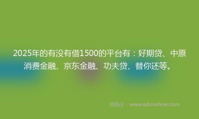 2025年的有没有借1500的平台有：好期贷、中原消费金融、京东金融、功夫贷、替你还等。