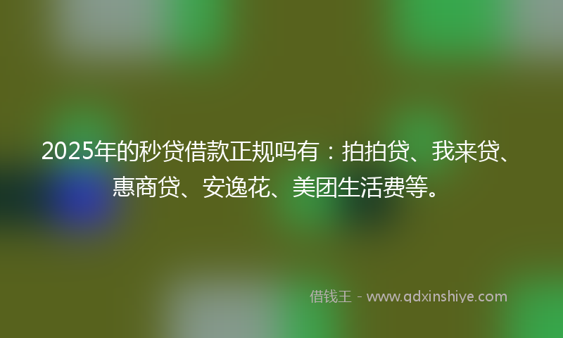 2025年的秒贷借款正规吗有：拍拍贷、我来贷、惠商贷、安逸花、美团生活费等。