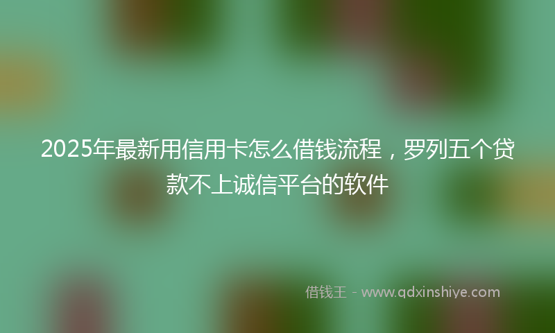 2025年最新用信用卡怎么借钱流程，罗列五个贷款不上诚信平台的软件