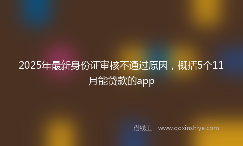 2025年最新身份证审核不通过原因，概括5个11月能贷款的app